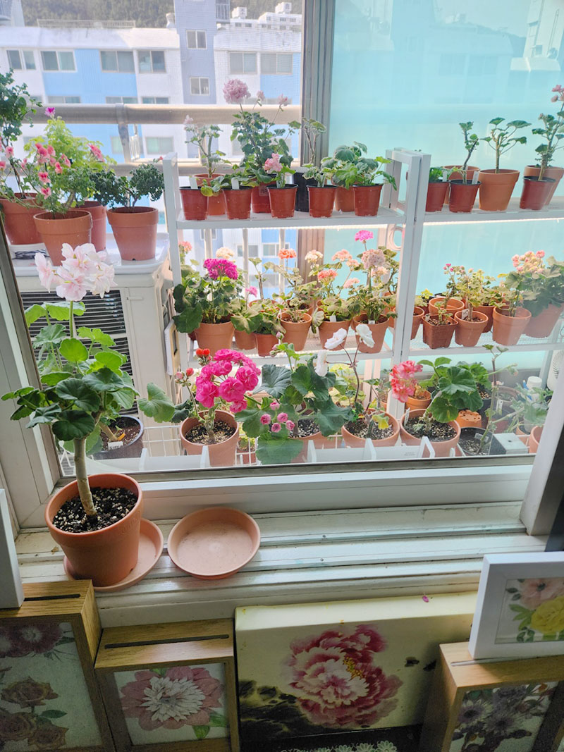 F435_KakaoTalk_20250513_112620988.jpg